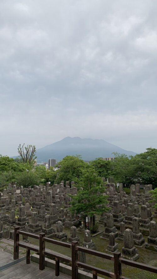 桜島を望む南洲墓地